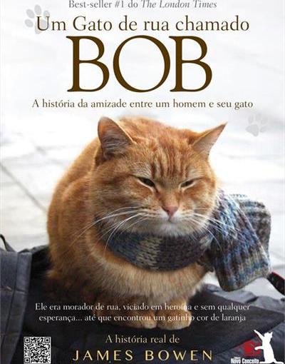 Dia Mundial do Gato: livros são alternativas para estimular interesse e amor por animais