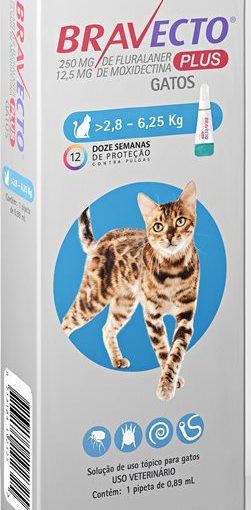 MSD Saúde Animal lança Bravecto Plus Gatos